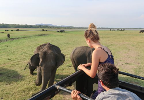 steptodown.com176796